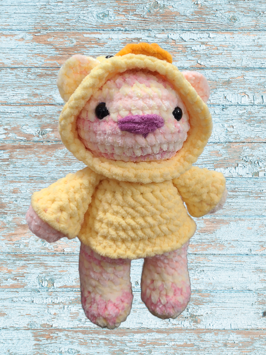Bear in a Hoodie