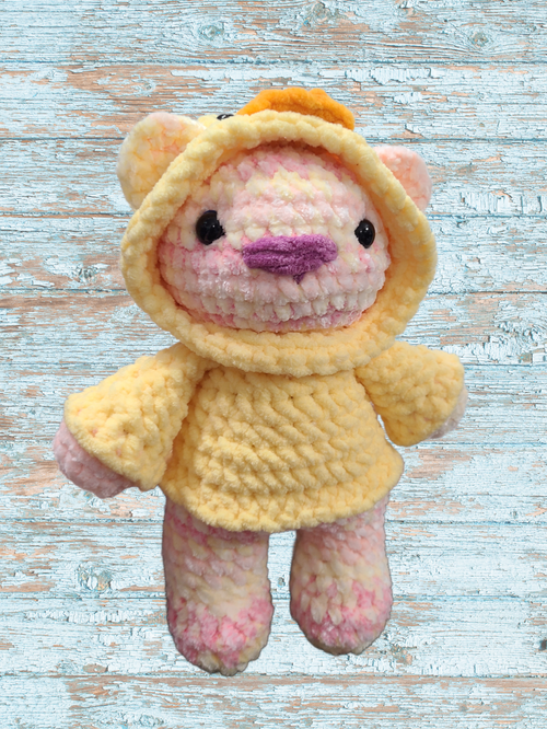 Bear in a Hoodie