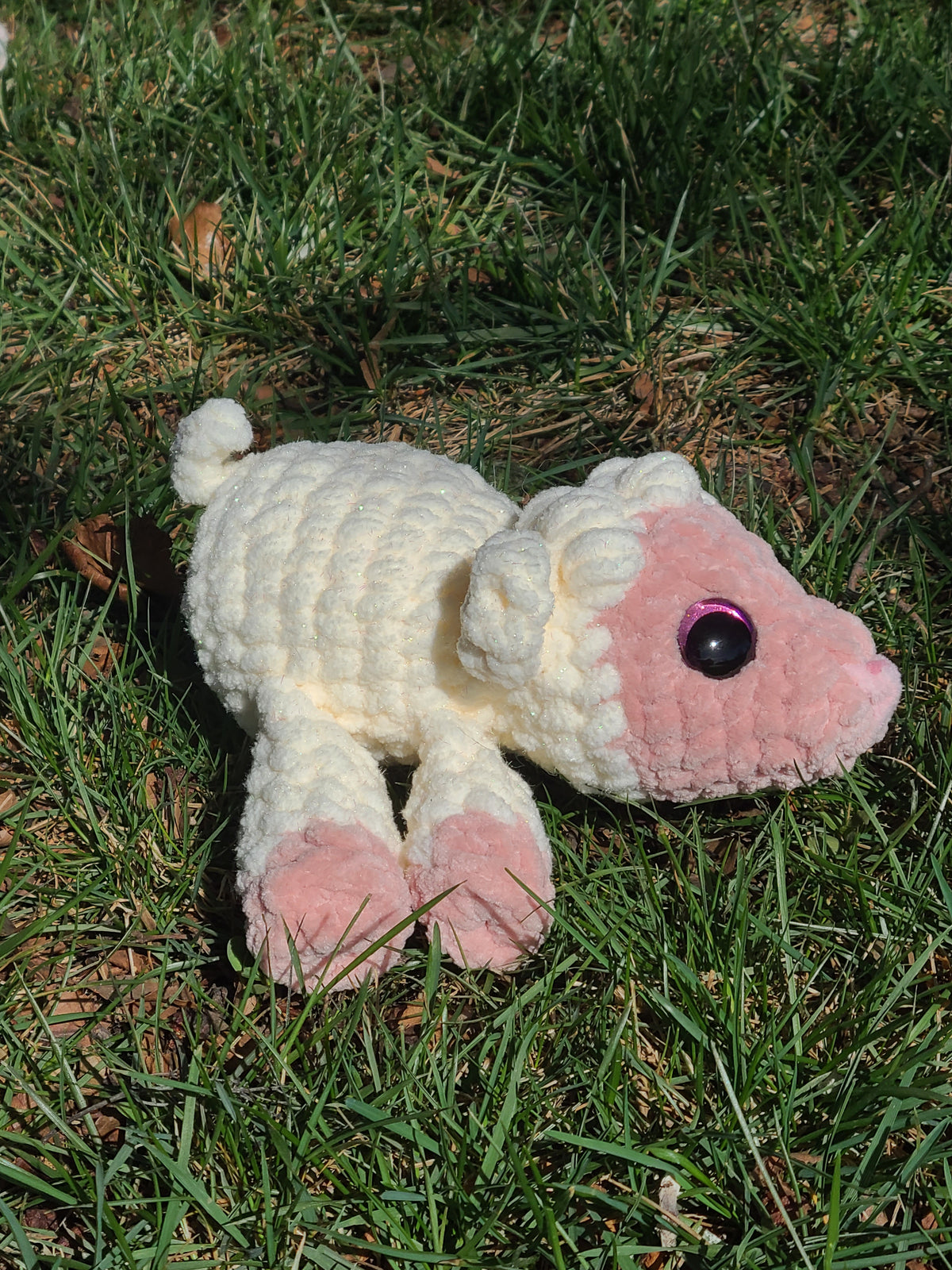 Blossom the Pint Sized Lamb