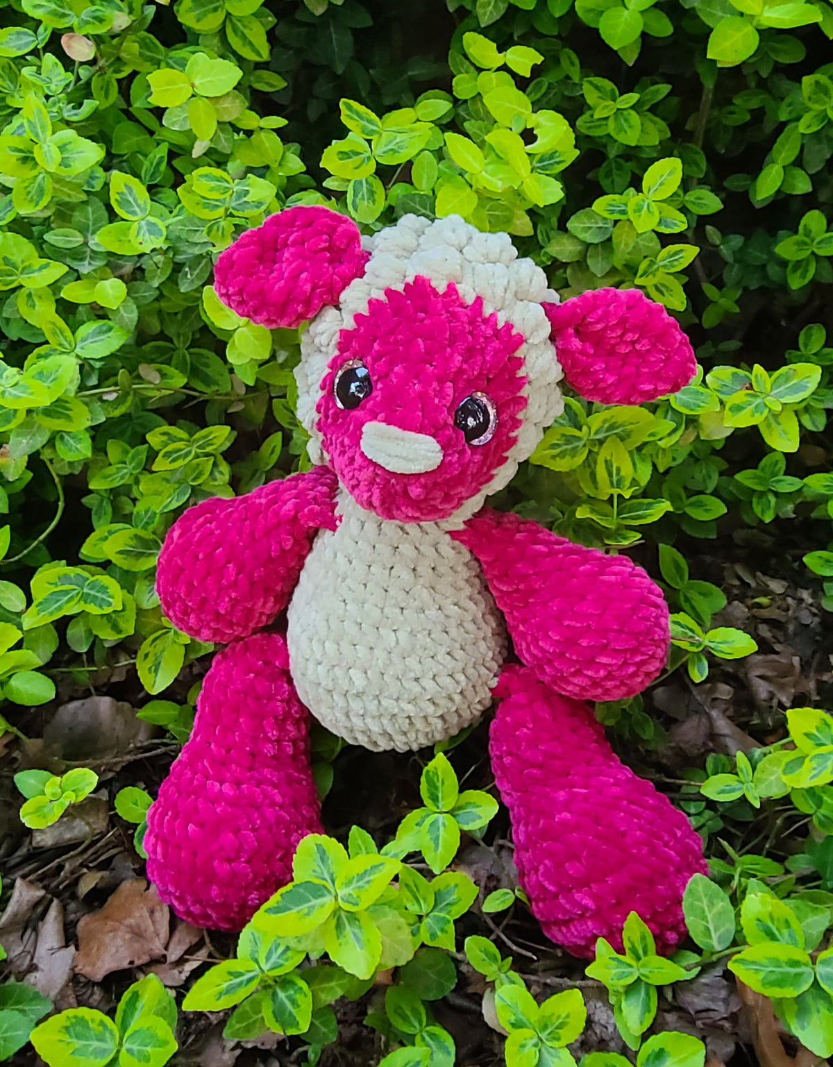 Shay the Sheep