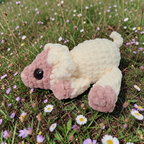 Blossom the Pint Sized Lamb
