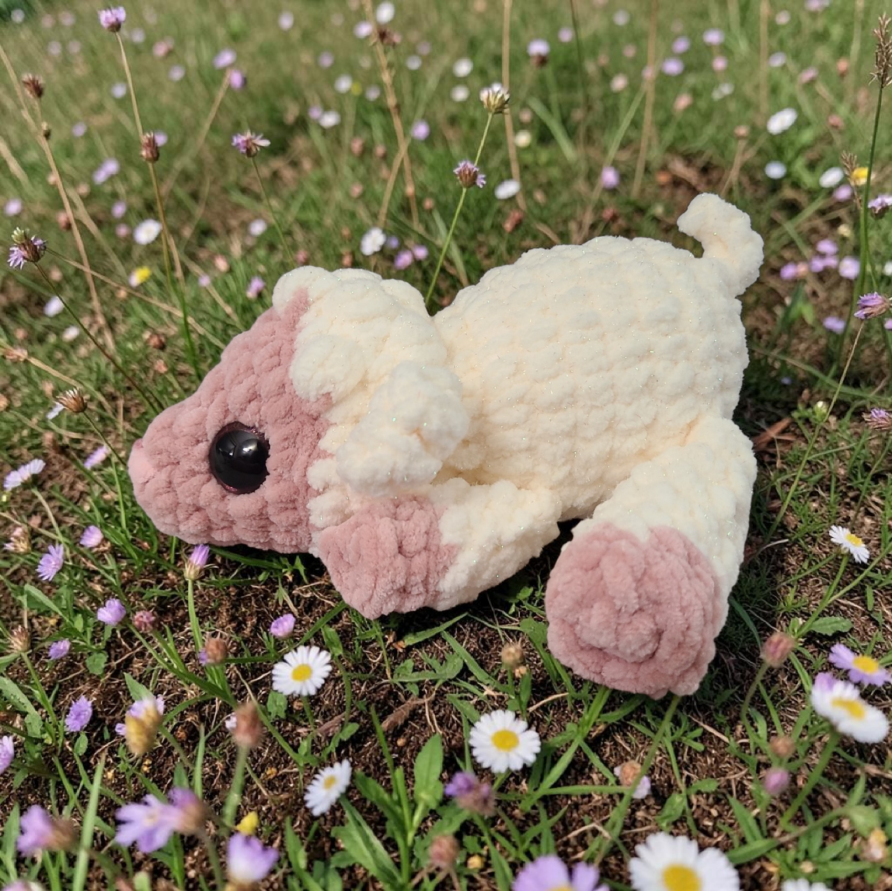 Blossom the Pint Sized Lamb